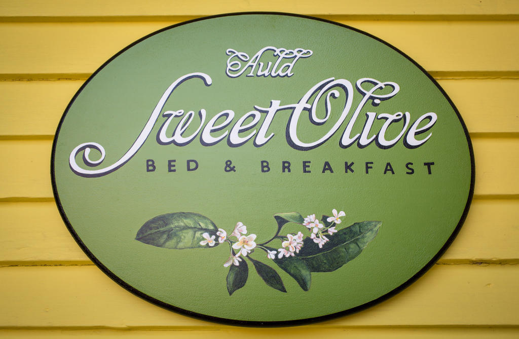 نيو أورلينز Auld Sweet Olive Bed And Breakfast المظهر الخارجي الصورة